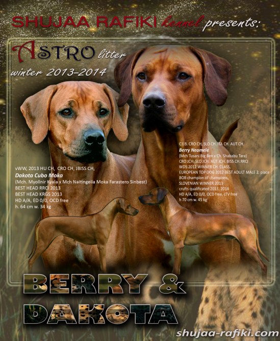 berry dakota astro litter