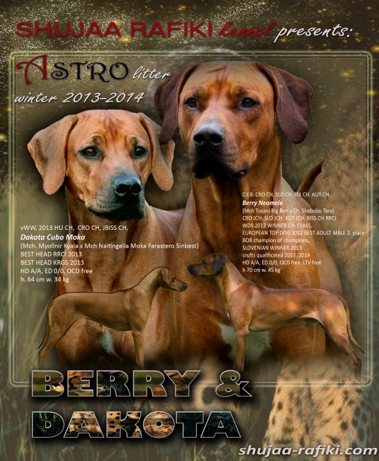 berry dakota astro litter