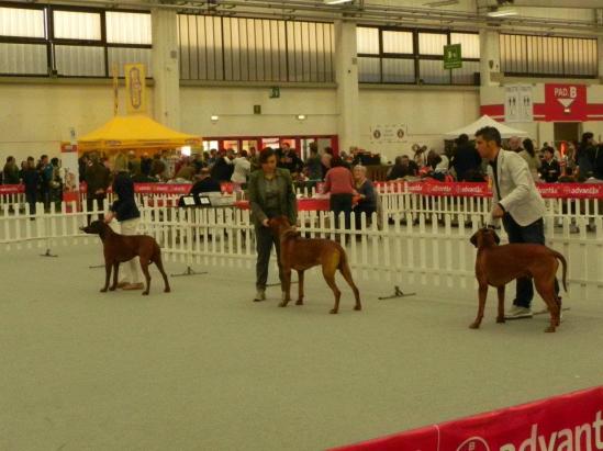 558342_323192071070029_232999846755919_795624_1633265990_n