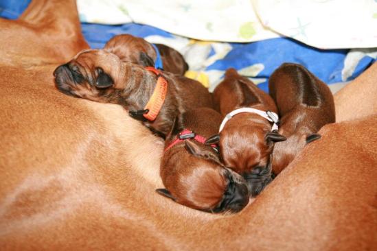 521408_10200251588118926_1628192774_n