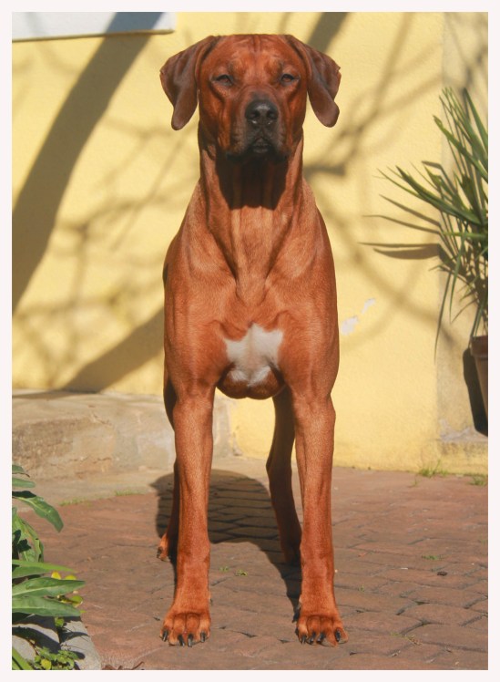 BERRY TODAY IN THE YARD