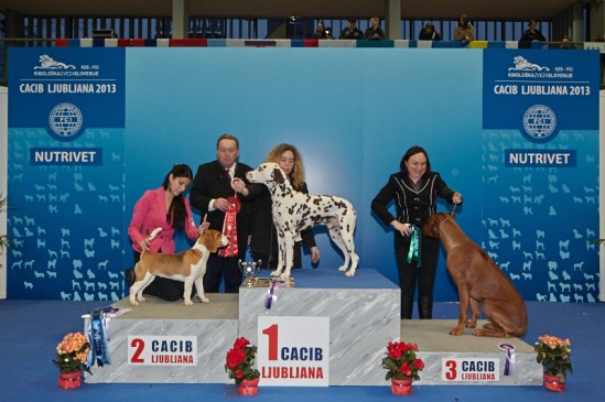 CACIB_LJ2013_FCI6