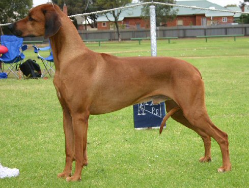 caprivi as good as it gets 2