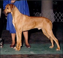 KIMANI'S SHARPER IMAGE