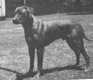 mushana_starr_jameson