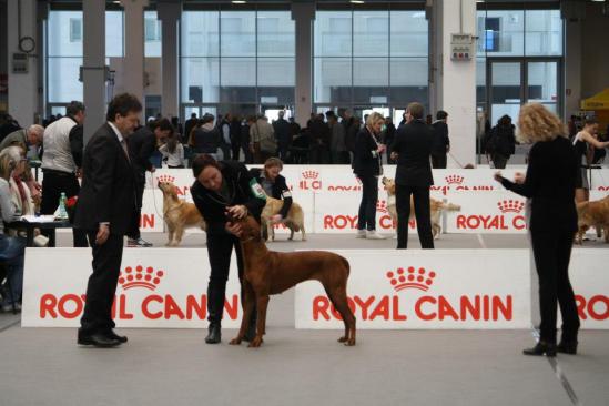 533758_10200896278638541_1138165854_n