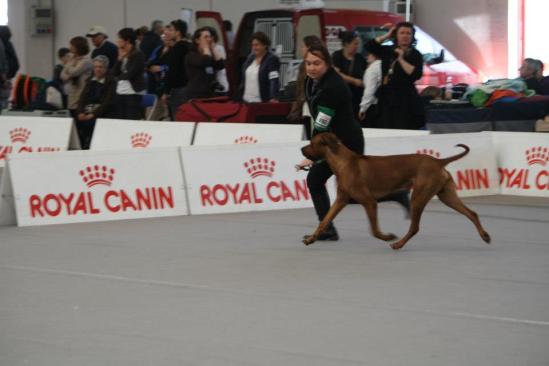 541899_10200896264198180_935975958_n