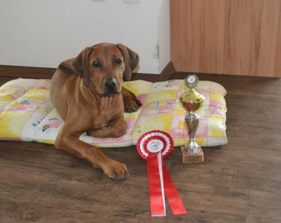 ashima diego best baby rrco 2