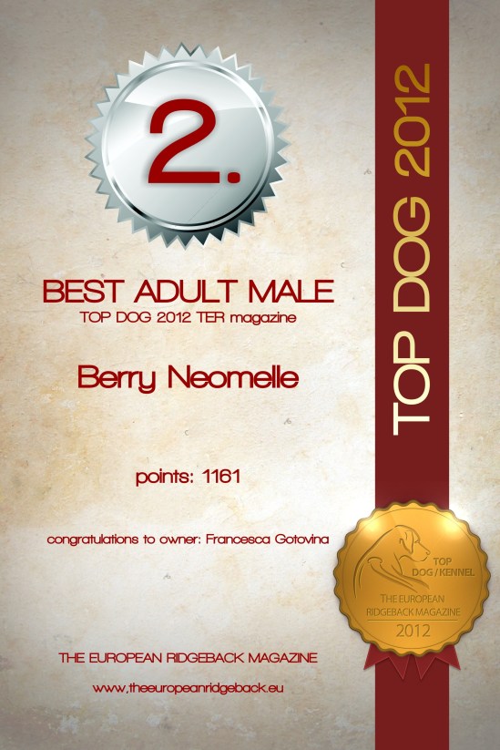 BESTADULTMALE2 (2)
