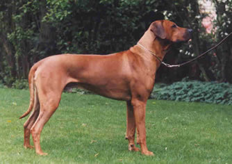 Jamal bij Birgit, april 02 neg. 19