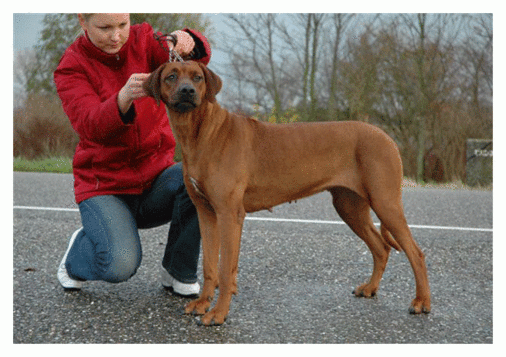 lv-lt-est-balt-rus-ch-sindi-own-m-grinvalde