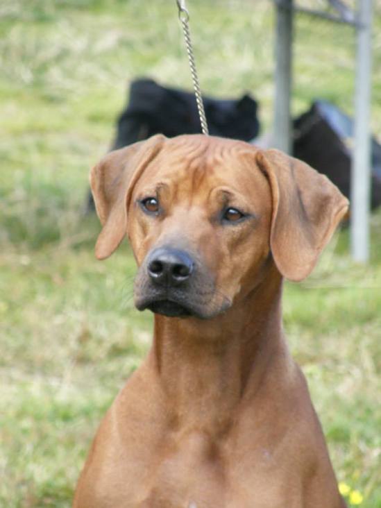 1240528_659960437361878_314891303_n