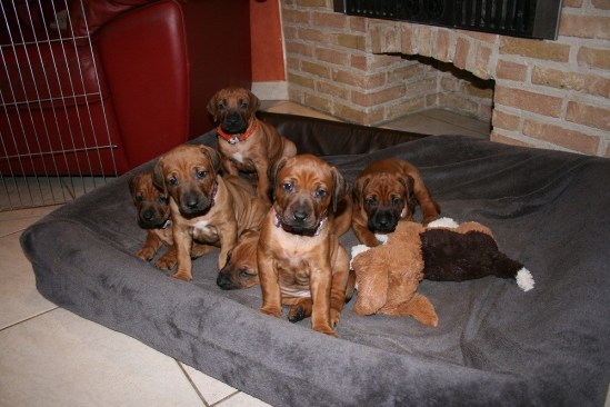 1504169_10201040841925207_27678177_o