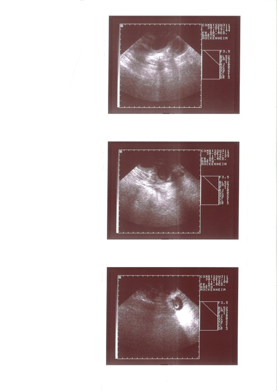 20131230114312_00001