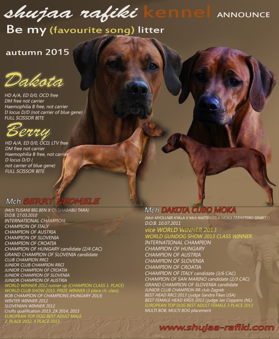 be my litter final 2