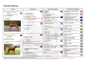 potential-offspring flags