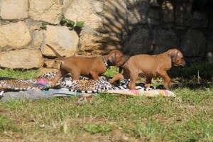 smell and taste good