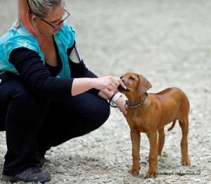 10325695_10202668354362648_5160126533177054283_n