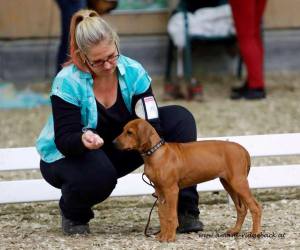 10341867_10202668354402649_629826771632204646_n