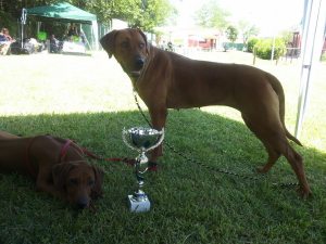 10341425_10204151178448742_6349499440449543492_n