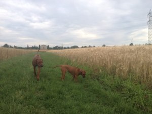 10449506_10154244352850304_815270637869112450_n