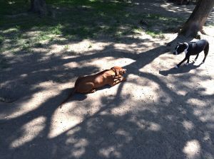 10476149_10204190902039312_8335143553243346281_o