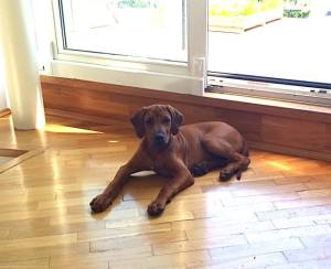 10486783_10204190909119489_8782015701708579629_n