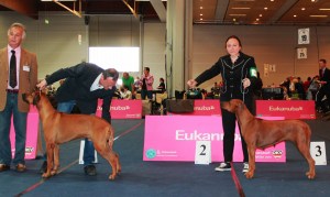 BOB klagenfurt 2014 d