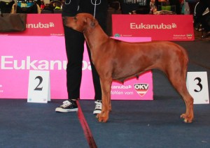 BOB klagenfurt 2014 e