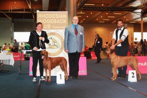 BOB klagenfurt 2014 judge