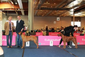 BOS klagenfurt 2014 b