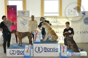 res bis trieste official