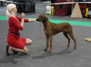 1452312_10152808946591380_1088705342047318110_n