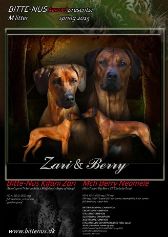 zari & berry send