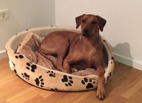 10848541_10152578141770771_5113317943586199682_o