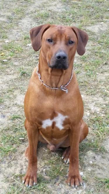 11040342_858443334178626_670962933_n