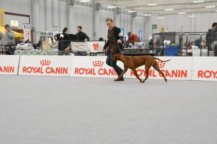 14 months in the ring