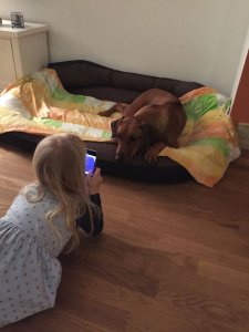 1549312_10152402529280771_6375796949542735452_n