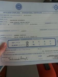 11139499_10206673031293487_1233667931_n