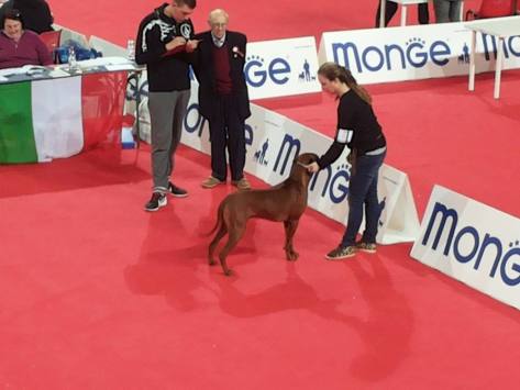 21289_10206524890310055_1053817376452793794_n