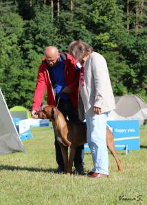 10303743_848615018556543_4390497850661614279_n