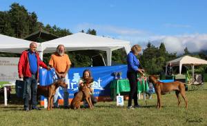 11062125_848615125223199_3414237876530897997_o