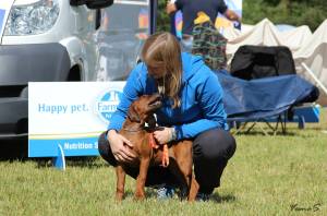 11203511_848613891889989_7178415583657452409_o