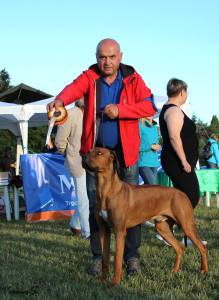 11257922_848618355222876_2342426720506543956_n