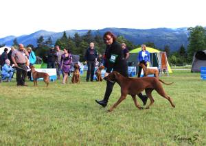 11402551_848616581889720_6222840421889631458_o