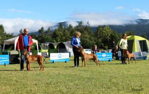 11406367_848615105223201_7475491092554610462_o