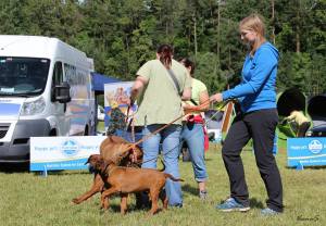 11423398_848613911889987_5661002939108492998_o