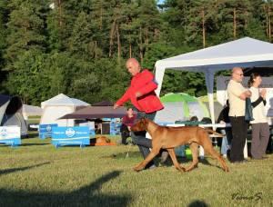 11536411_848618218556223_3554544779793537346_o