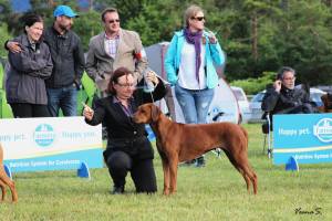 11536453_848616715223040_777335502454947579_o