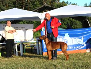 11537606_848617818556263_2533156383220455816_o